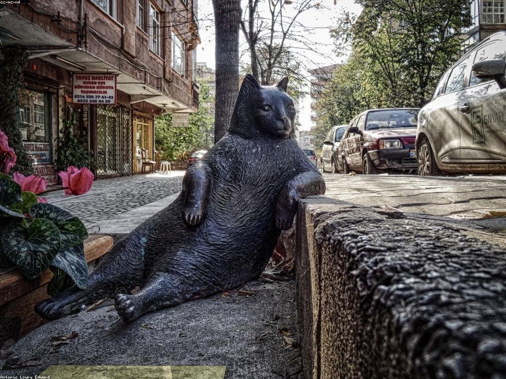 វិធីសាស្រ្តដើម្បីទទួលបានអត្ថប្រយោជន៍ប្រកួត