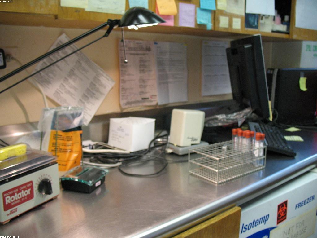 ព័ត៌មានថ្មីៗនៃគម្រោងថ្មីៗស្នាក់នៅលើពិភពលោក