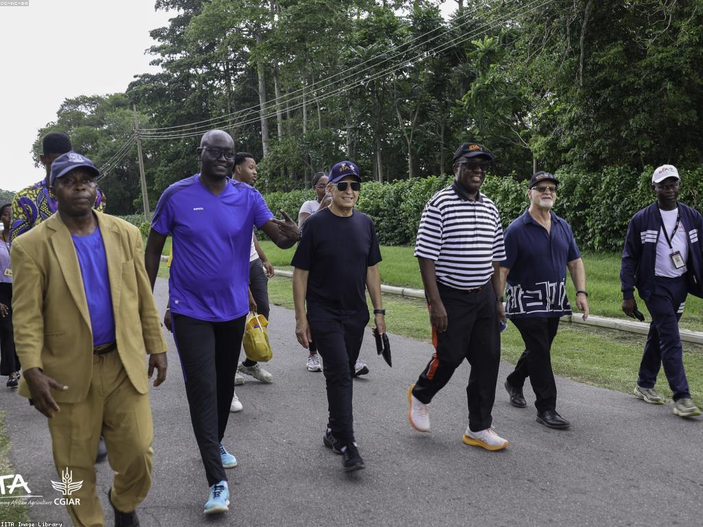 វប្បធម៍នៃការប្រកួតកីឡា